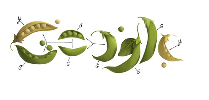 Google celebra il 189° compleanno di Gregor Mendel