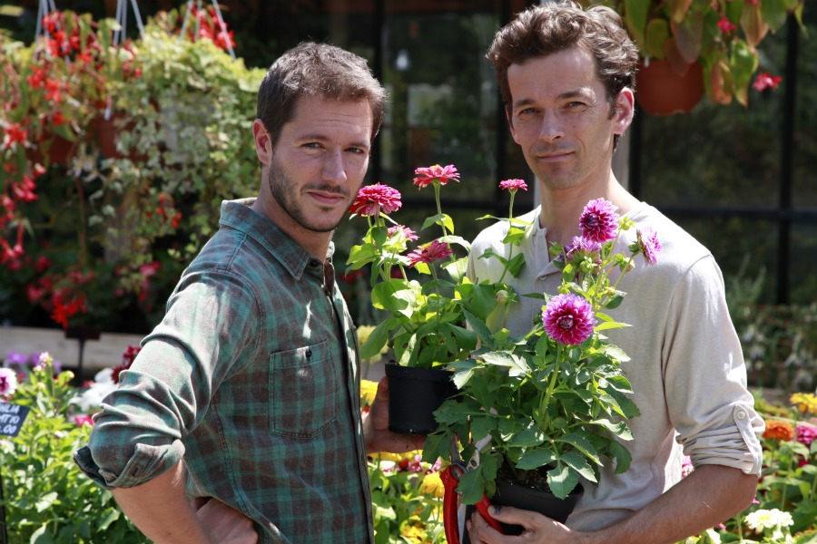 Giardinieri in affitto, dedicato agli amanti del green