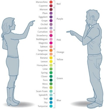 Maschi e femmine con differenze