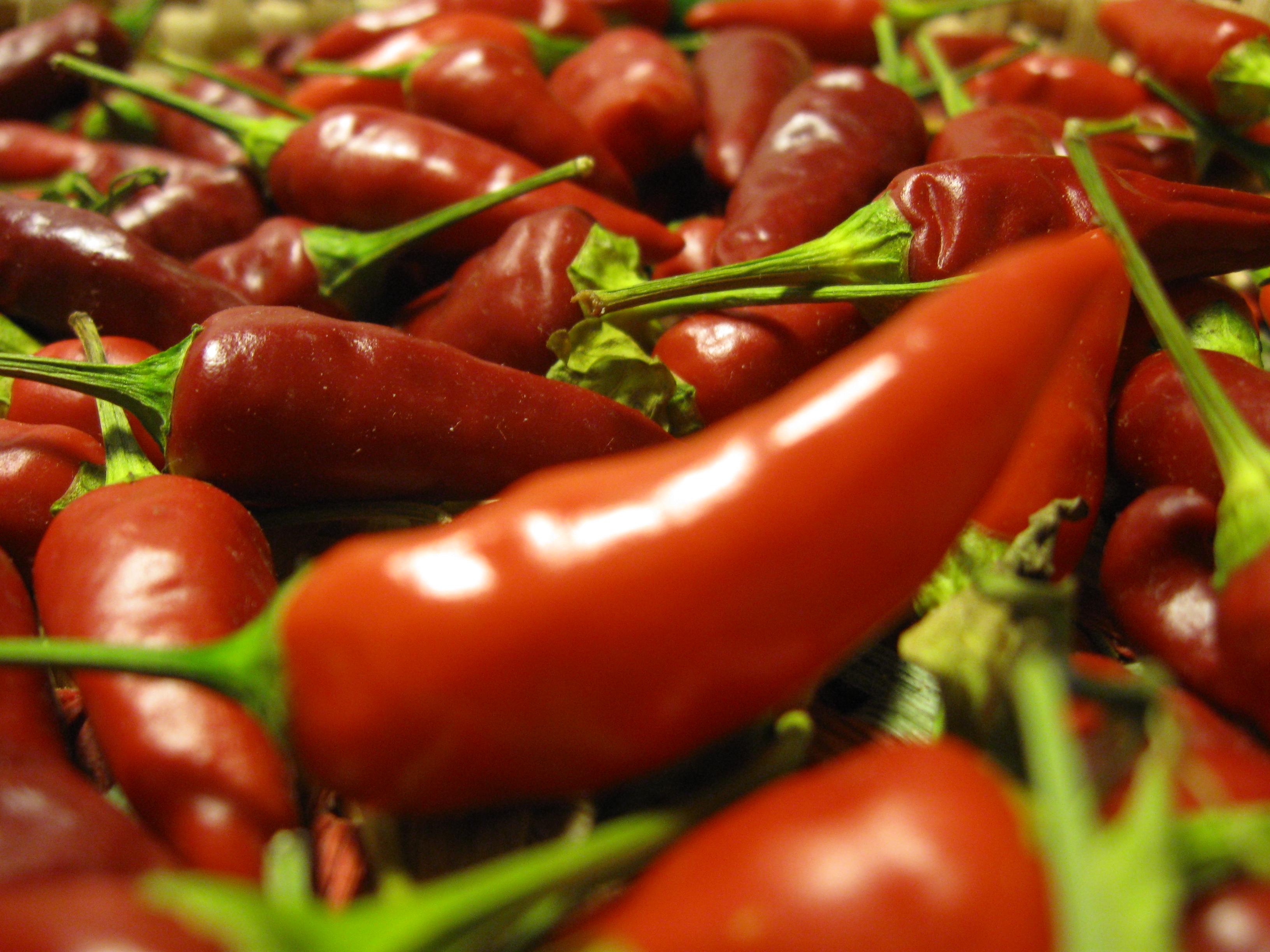 Ti piace il peperoncino? Cerchi emozioni forti