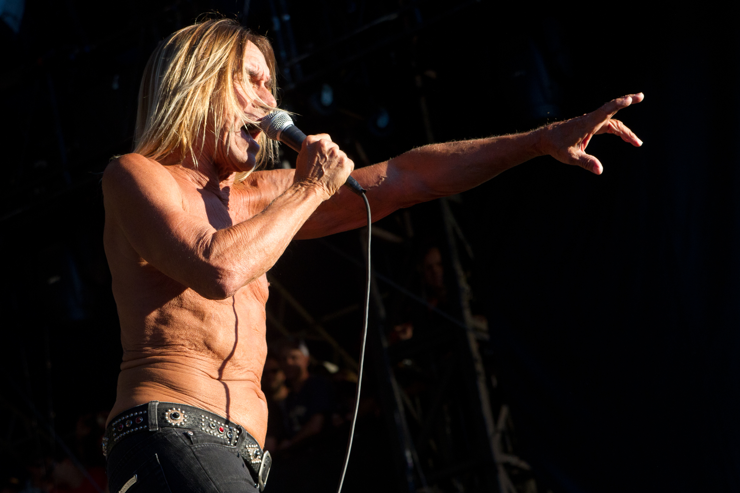 Iggy & The Stooges, due date in Italia a luglio