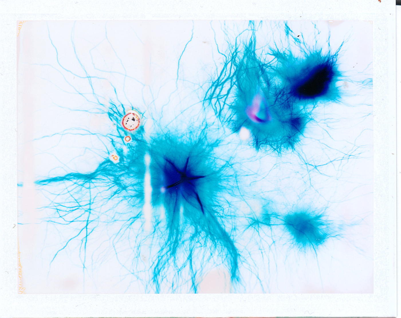 Una pellicola elettrizzante per manipolare le cellule