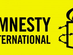 amnesty