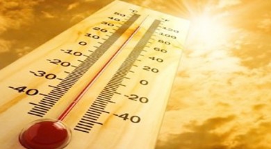 Caldo