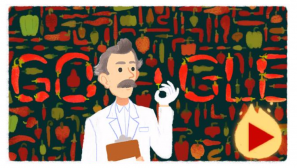 Schermata google