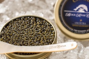 caviale