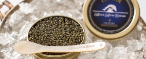 caviale