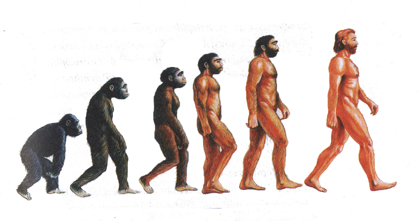 L’evoluzione dell’uomo secondo la scienza