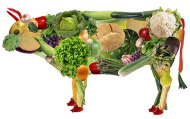 vegetariani