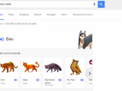 Google-Verso-Animali