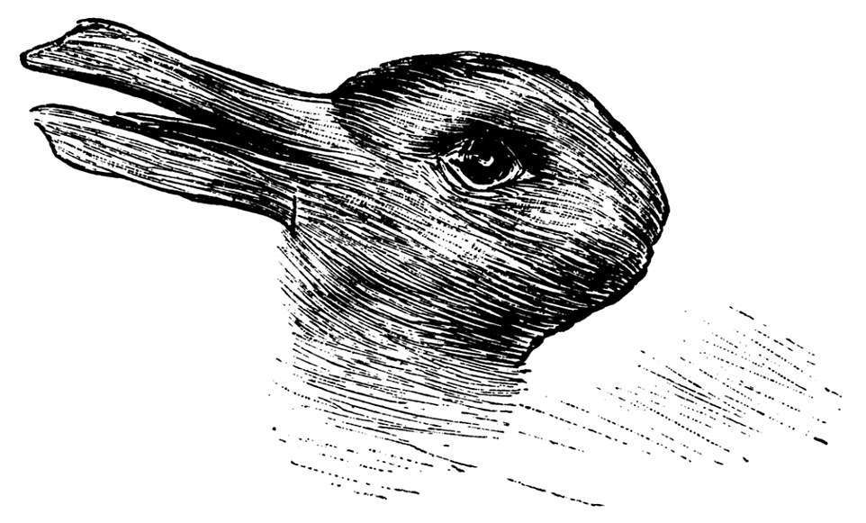 Cosa vedi, coniglio o anatra? L’illusione ottica che svela la tua creatività