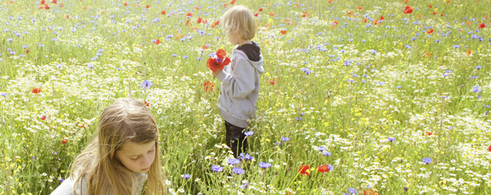 Antistaminici naturali: come combattere l’allergia senza farmaci