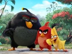 Angry-Birds-Movie-HD-Wallpapers