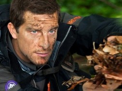 bear grylls