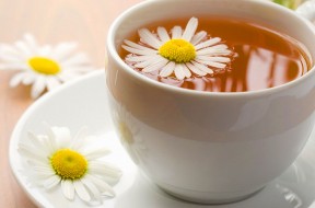 camomilla-tazza