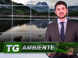 TG-AMBIENTE-FOTO