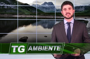 TG-AMBIENTE-FOTO