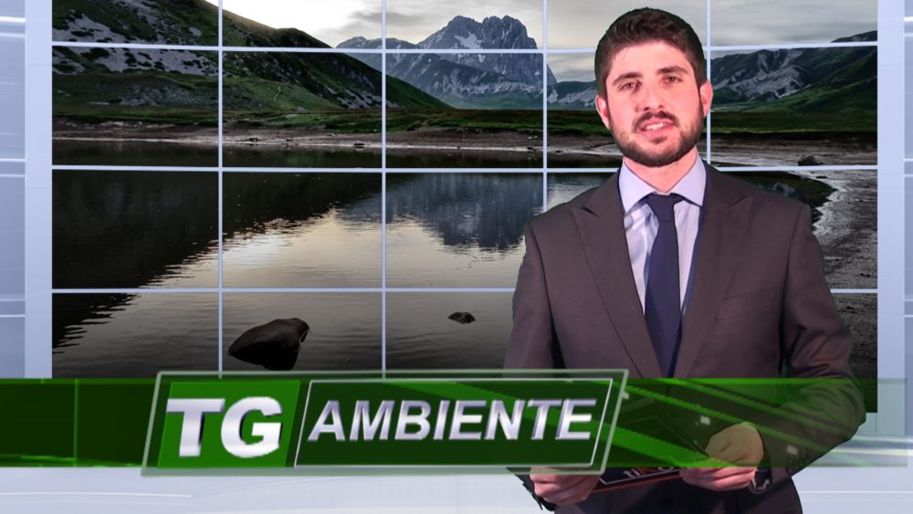 TG Ambiente: tiKotv si tinge di verde