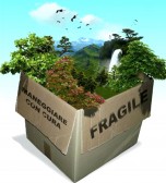 ambiente fragile2