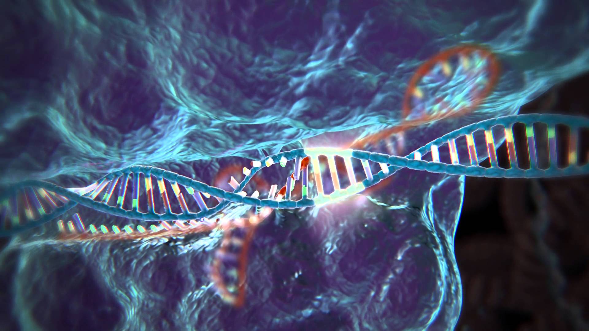 Creati embrioni umani resistenti all’HIV con la tecnica CRISPR