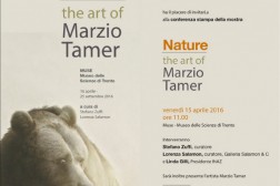 tamer