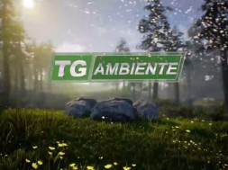 tg ambiente