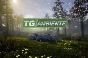 tg ambiente