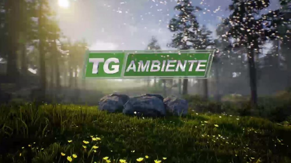 Torna il TG Ambiente de L’Impronta su tiKotv