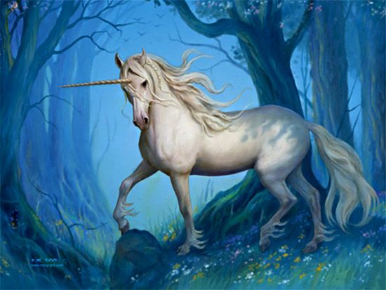Gli unicorni sono realmente esistiti: erano bestie mostruose 31 marzo 2016