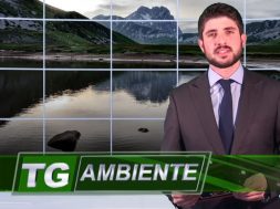 Tg-Ambiente-fabio