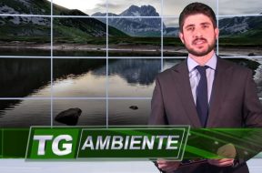 Tg-Ambiente-fabio