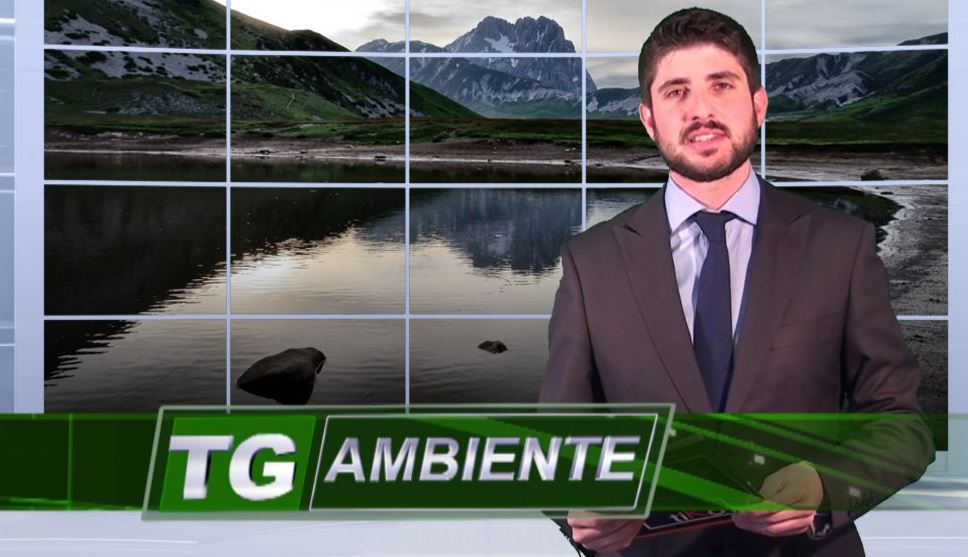 Tg Ambiente del 6 maggio 2016 su tiKotv, l’informazione green fruibile da tutti ovunque