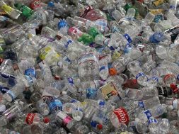 Despite Push From Environmentalists, Bottled Water Consumption Remains Ubiquitous