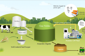 biogas