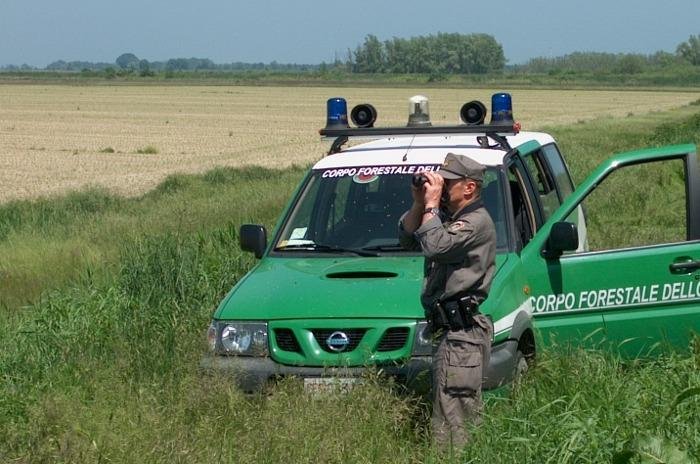 Umbria, Operazione “Acciaio sporco”: il Corpo Forestale dello Stato in azione nel centro nord Italia