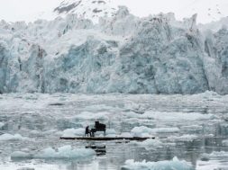 einaudi-greenpeace-7-630×420