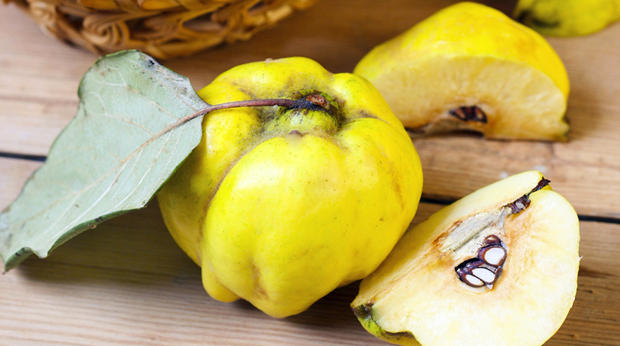 Mela cotogna: proprietà e benefici del frutto dimenticato
