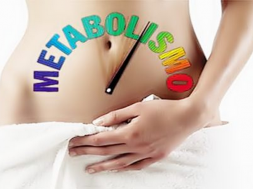 metabolismo lento