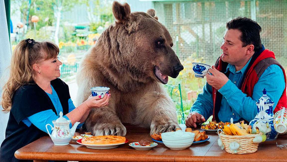 Un orso per amico: la storia di Stepan, il cucciolone di 136 kg adottato da una famiglia