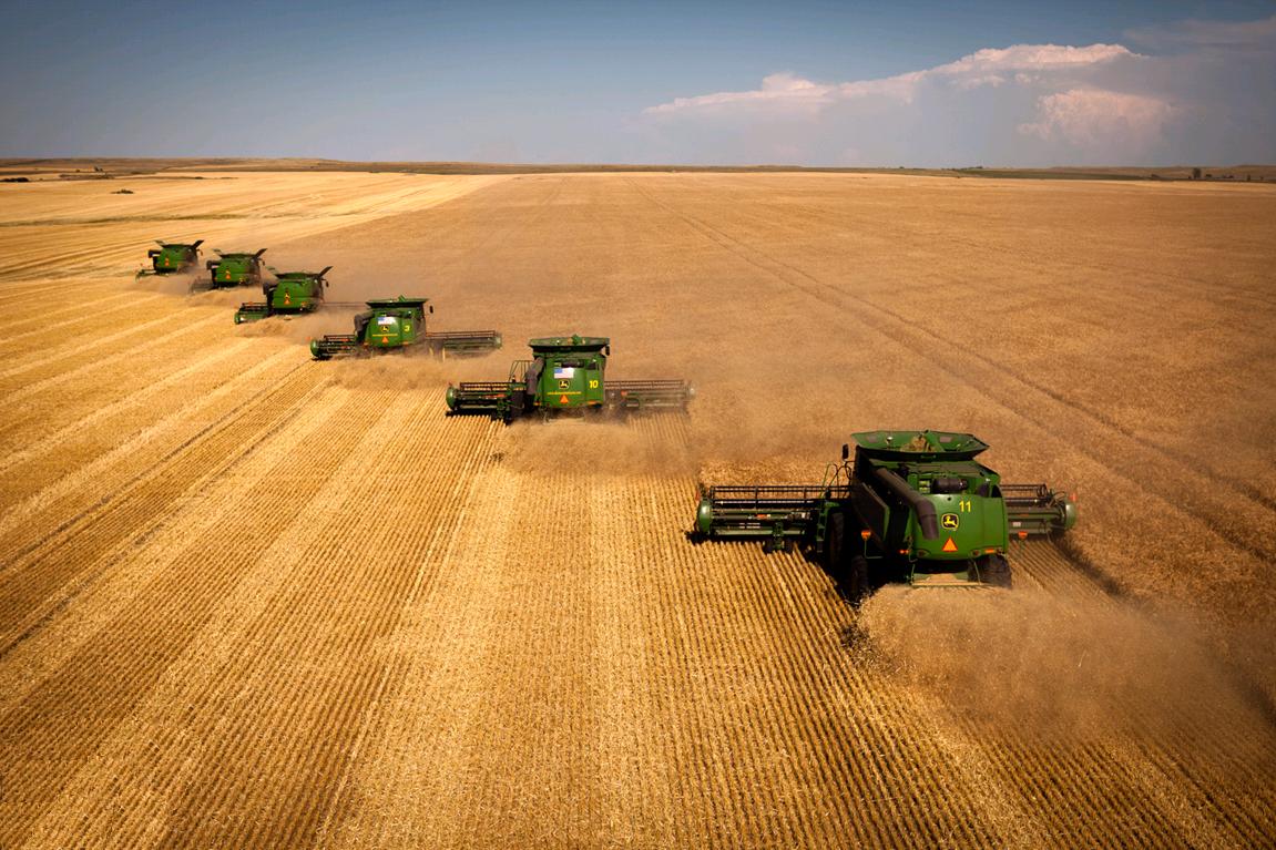 Agricoltura Lazio, Granieri (Coldiretti): ‘Garanzia Giovani’ strumento per incentivare innovazione sistema agricolo