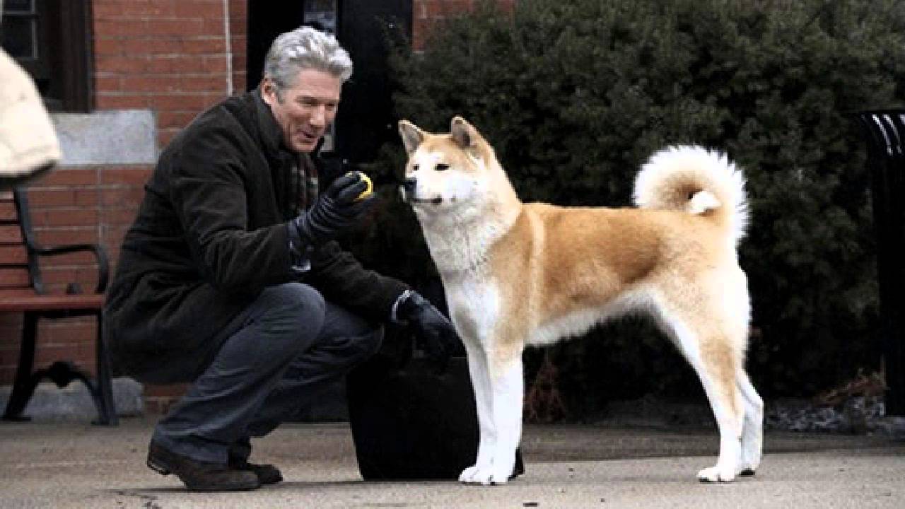 La vera storia di Hachiko, il cane che ha ispirato il film con Richard Gere