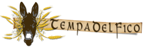 logo tempadelfico definitvo21