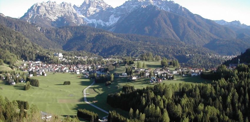 Arte, Veneto: a Pieve di Cadore la mostra sul ritorno dei grandi carnivori