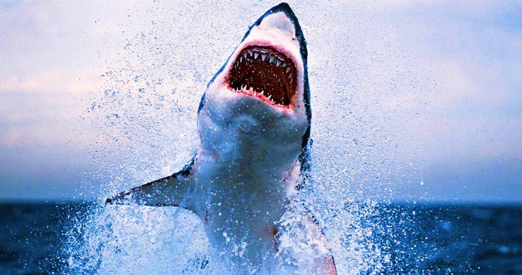 I migliori film sugli squali per un’estate da brividi
